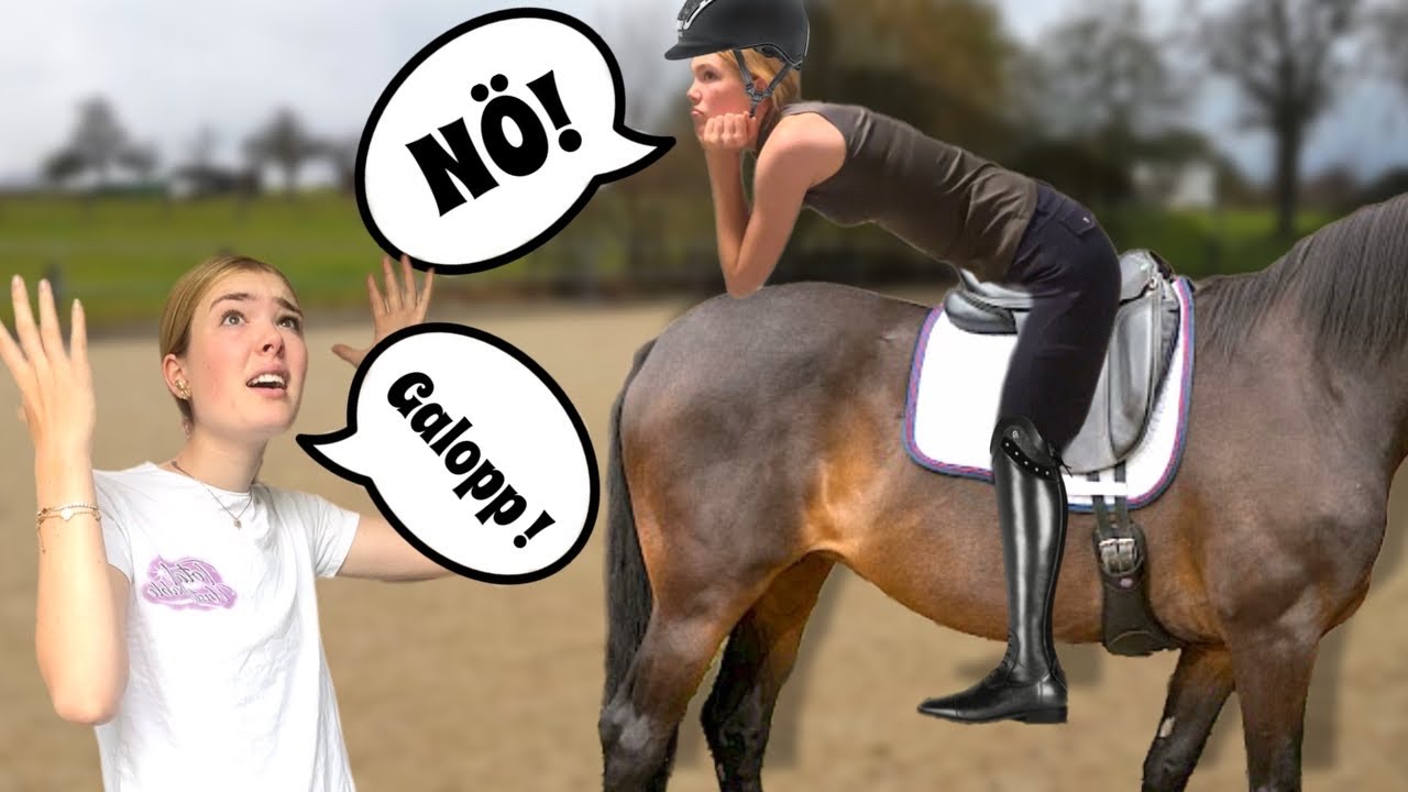 10 ARTEN VON REITSCHÜLERN 😂🐴
