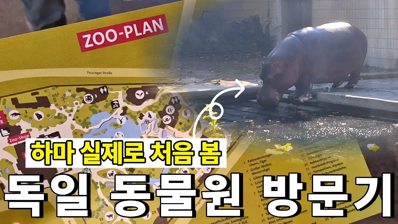 [Vlog] #11 독일 동물원은 신기한 동물들이 많아요