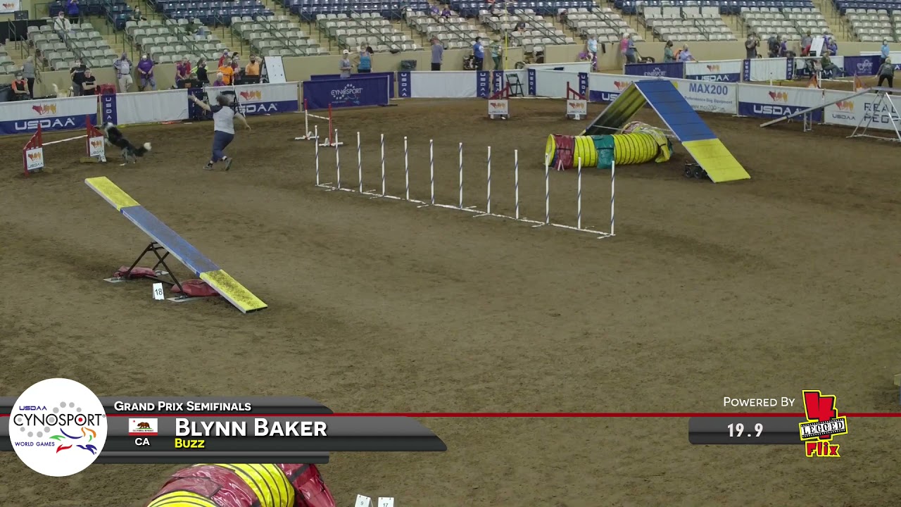 BuzzB GrandPrixSemiFinals Cynosport 2021