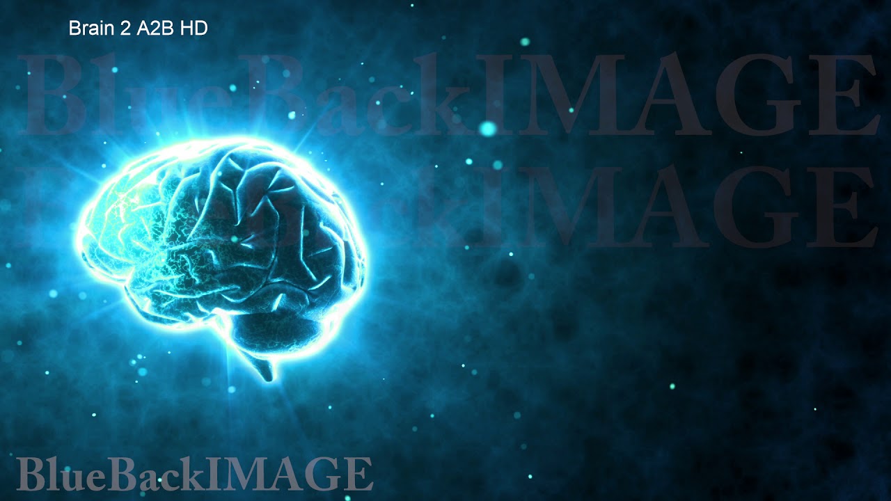 Brain anatomy human body idea mind concept mental Brain 2 A2B HD
