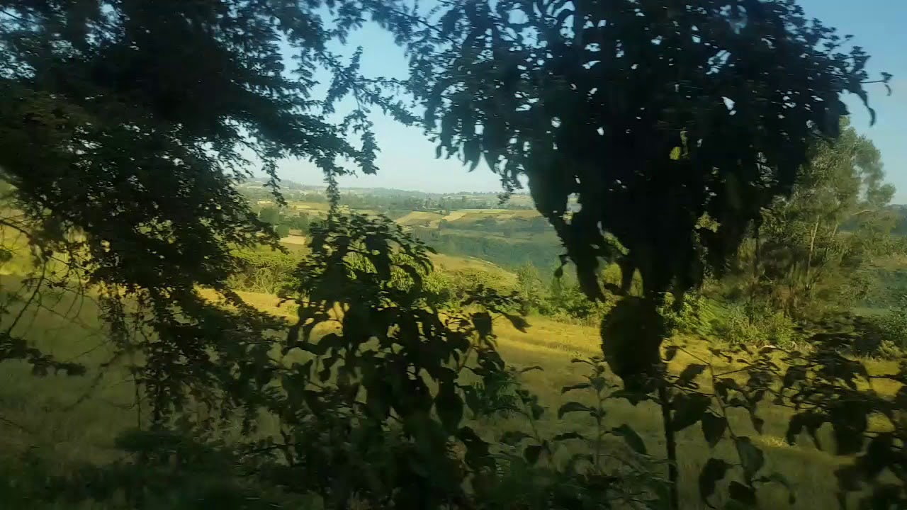Amazing Oromia; welega green land