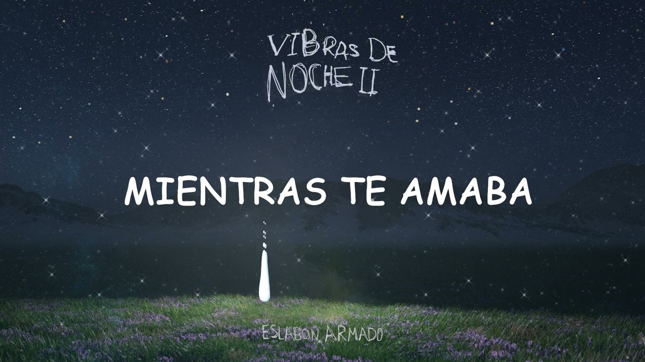 08 Mientras Te Amaba Lyric Video