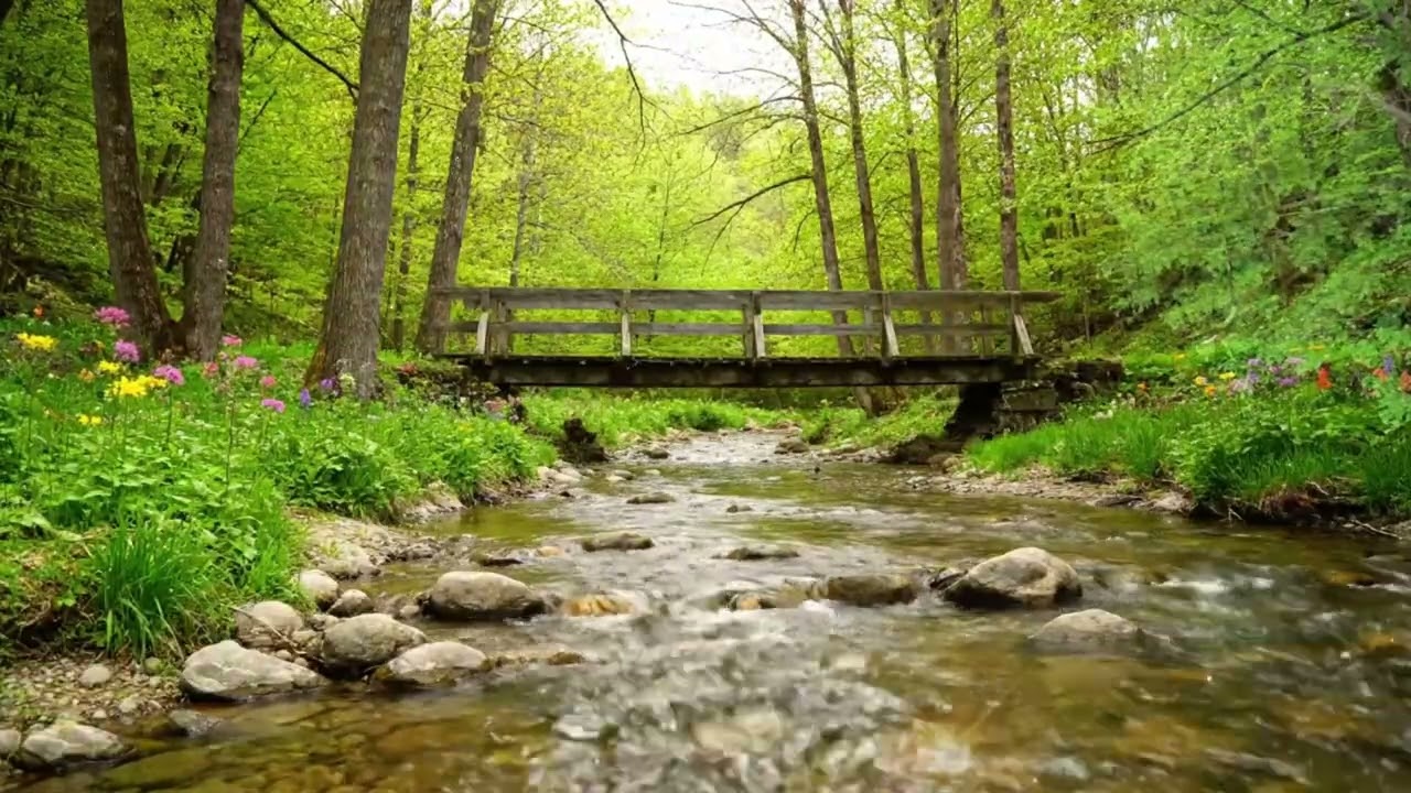 🎯 You’ll Fall Asleep Fast 🌸 1 Hour Spring Forest ASMR | Flowing Water, Birds & Relaxing Piano