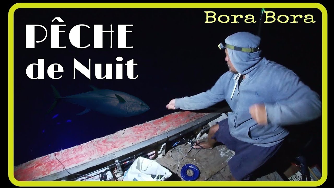 ON P&Ecirc;CHE de NUIT sur l'&icirc;le de BORA BORA  !C'EST PLEIN DE POISSONS EN CHASSE!!!