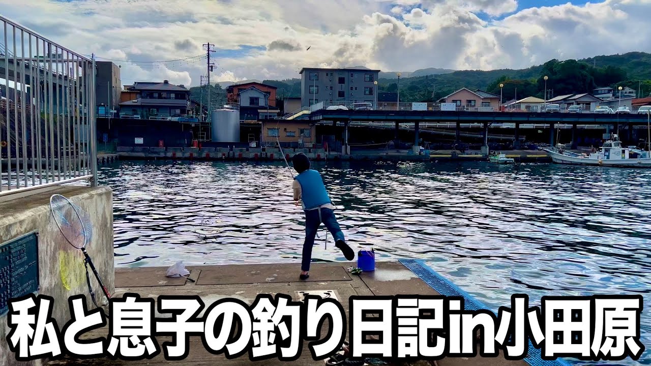 【小田原漁港】私と息子の釣り日記【神奈川県】