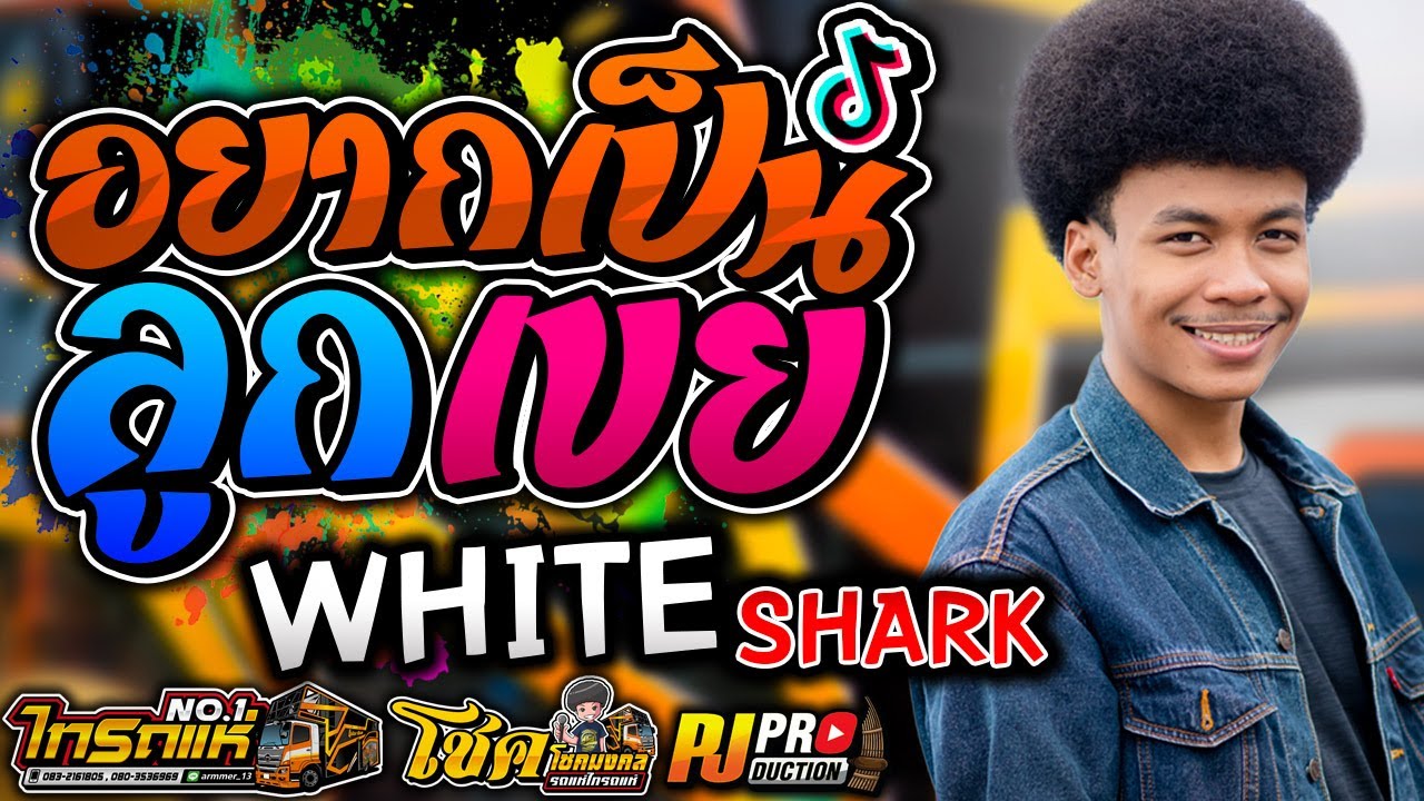 มาแรงTiktok!! อยากเป็นลูกเขย + WHITE Shark(ว่าแต่ผู้สาว) + ใส่ใจได้แค่มอง โชค โชคมงคล l รถแห่ไทรถแห่