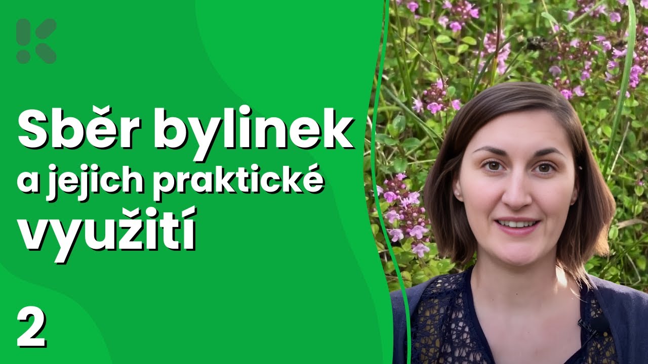 Sběr bylinek a jejich praktické použití: 1. díl – Jak správně sbírat bylinky
