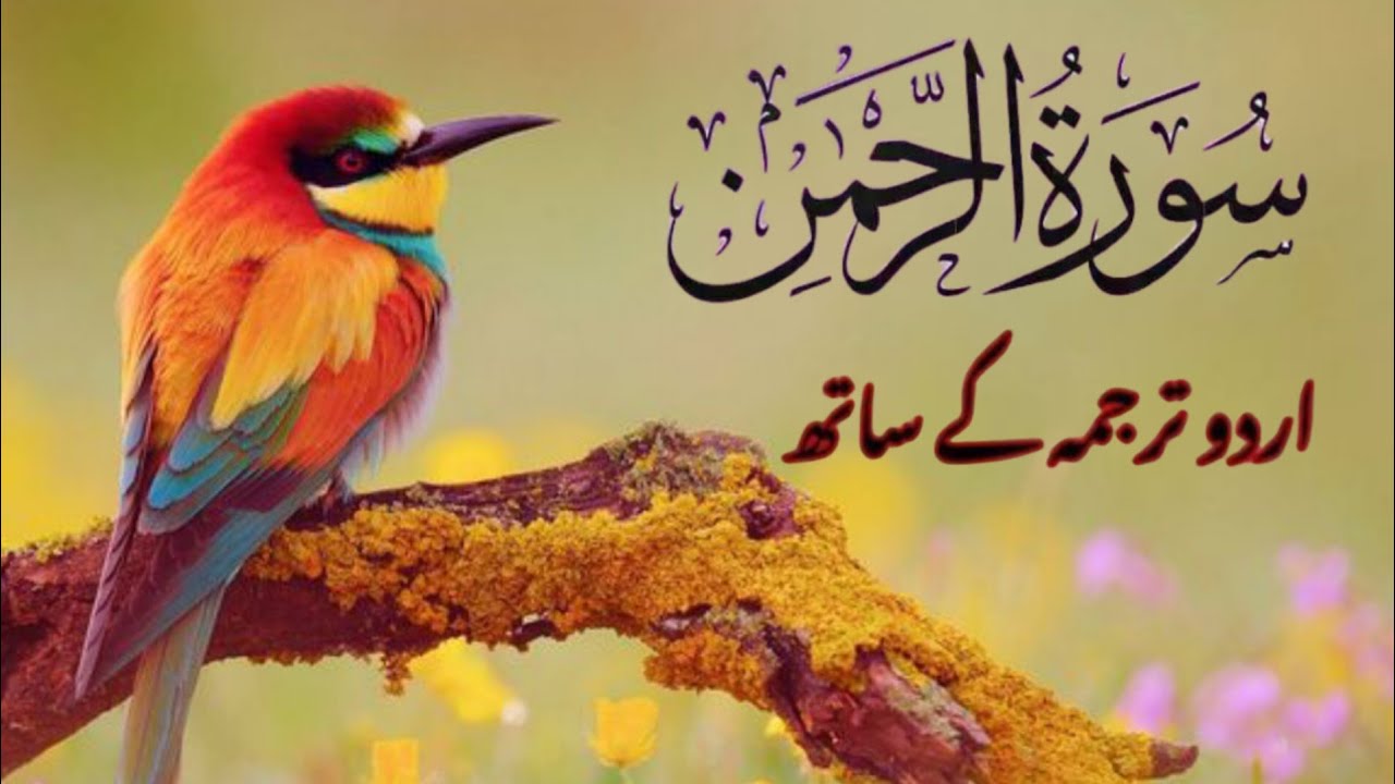 Surah Ar-Rahman with Urdu Translation | The Most Beautiful Surah of the Quran