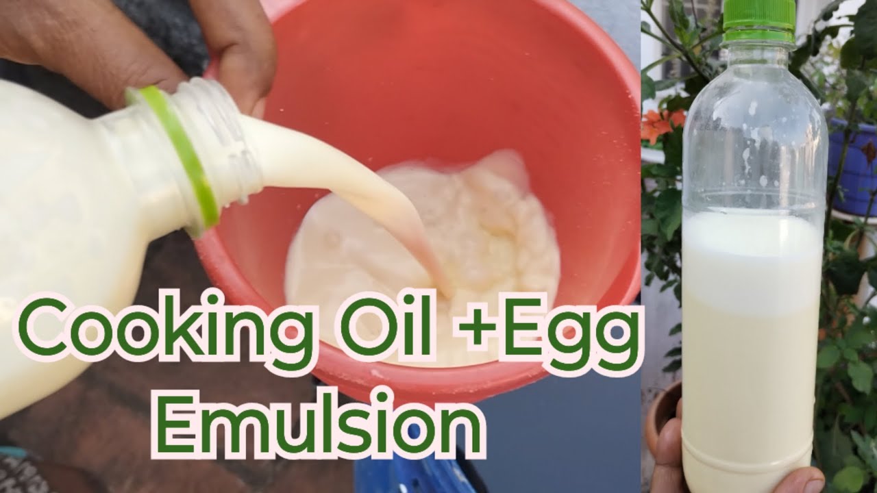 cooking oil + Egg Liquid Fertilizer and pesticide