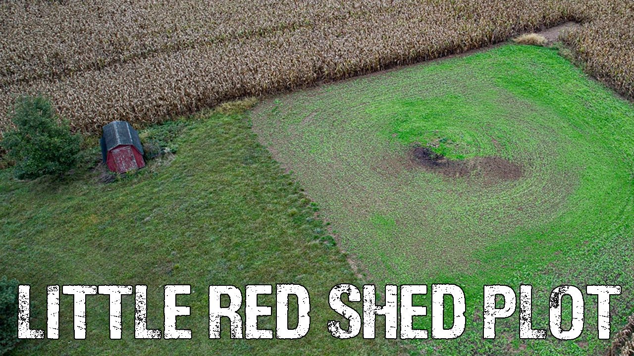 DOMAIN Big Sexy Brassica Food Plot | Planting New Food Plots | Family Dream Farm