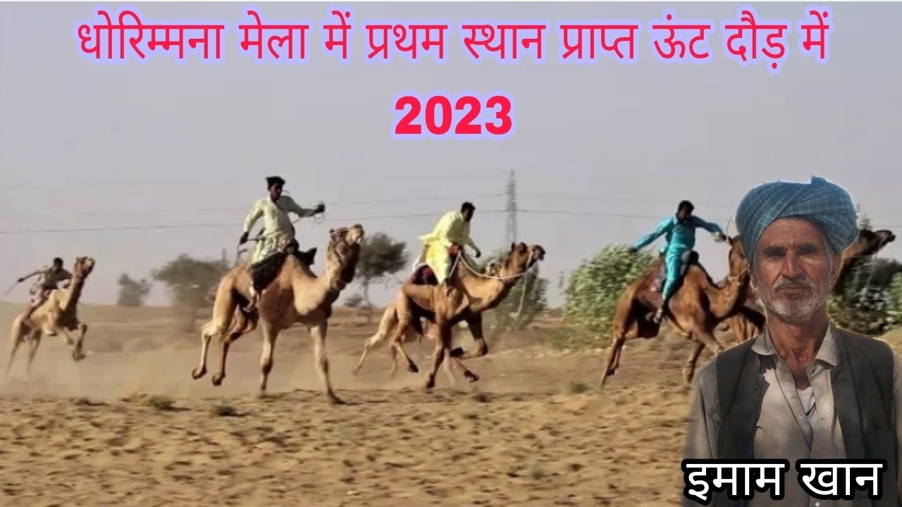 ऊंट दौड़ की तेज रफ्तार धोरीमन्ना मेला 2023!!COMEL RESH DHORIMNNA MELA!! ईमाम खान!! 5लाख कीमतवाला ऊंट