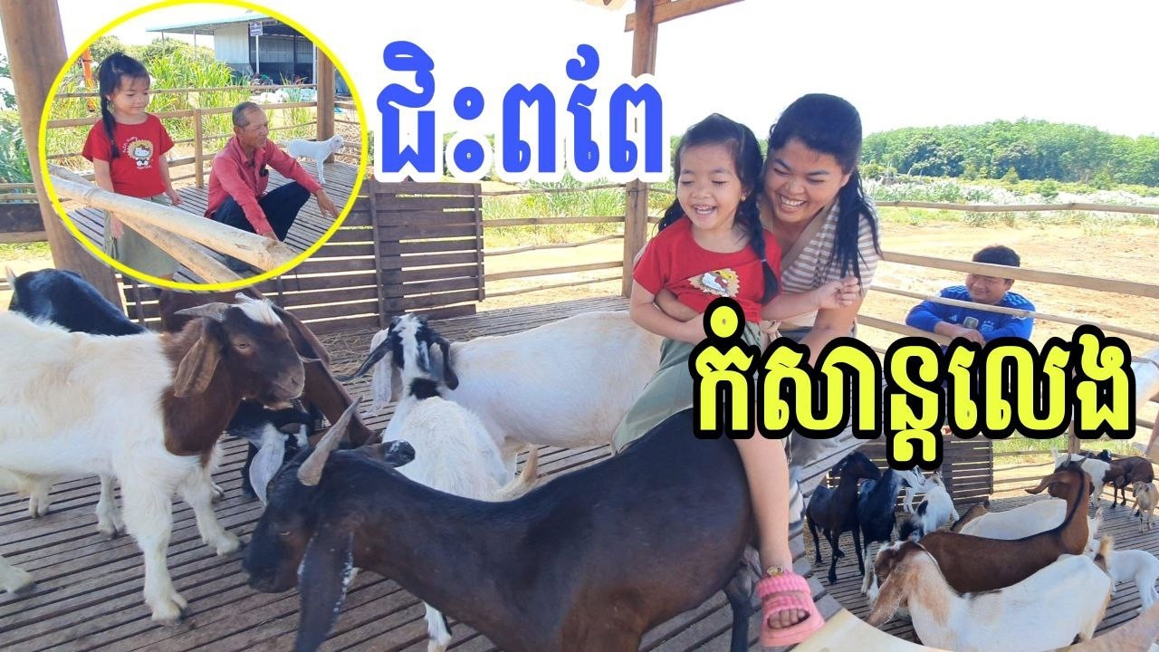ជិះពពែកំសាន្តលេងក្នុងកសិដ្ឋានលោក ហ៊ត លាង