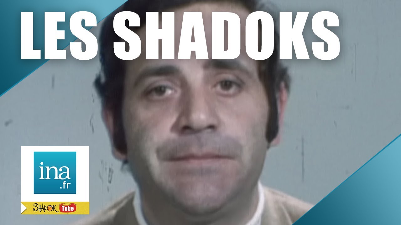 Comment rendre les Shadoks beaux ? (partie 1) | Archive INA