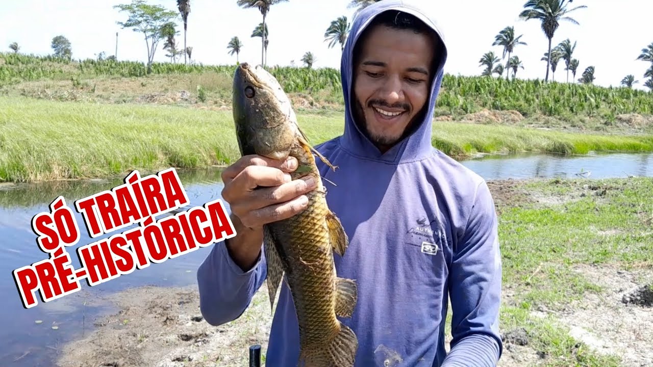 É Cada Traíra Gigantesca na Isca Artificial - Whopper Plopper é o Terror na Pescaria