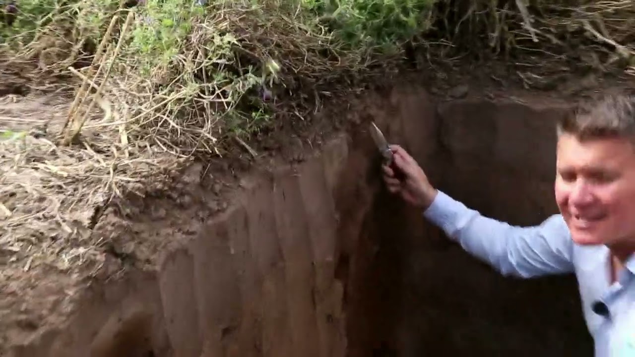 Agricultura Regenerativa