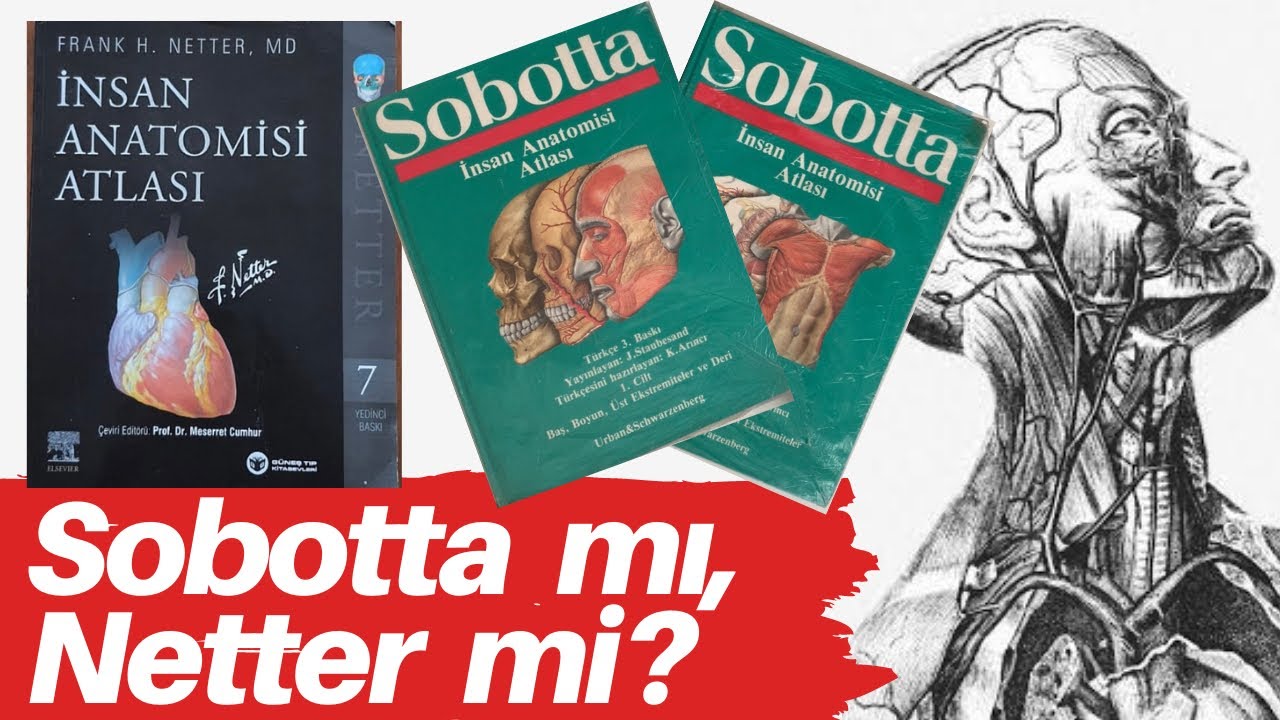 Sobotta vs Netter🫀| Hangisi Daha İyi? | Anatomi Atlası İnceleme⚕️