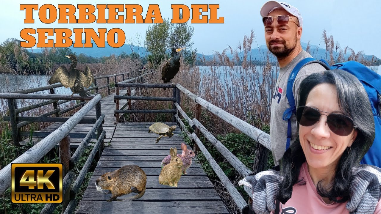 🐇 Quali animali puoi vedere alle Torbiere del Sebino? (Bs) 🐢 Gite per famiglie in Lombardia [4K] 🦆