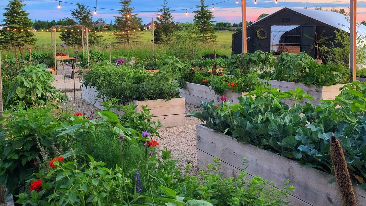 Garden Updates & Tips | Vegetable, Herb & Rock Gardens | Pumpkin Patch | Perennial Berm//Garden Farm