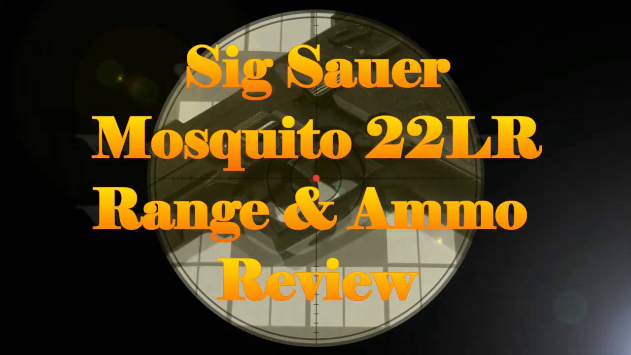 Sig Sauer Mosquito 22LR Range & Ammo Review