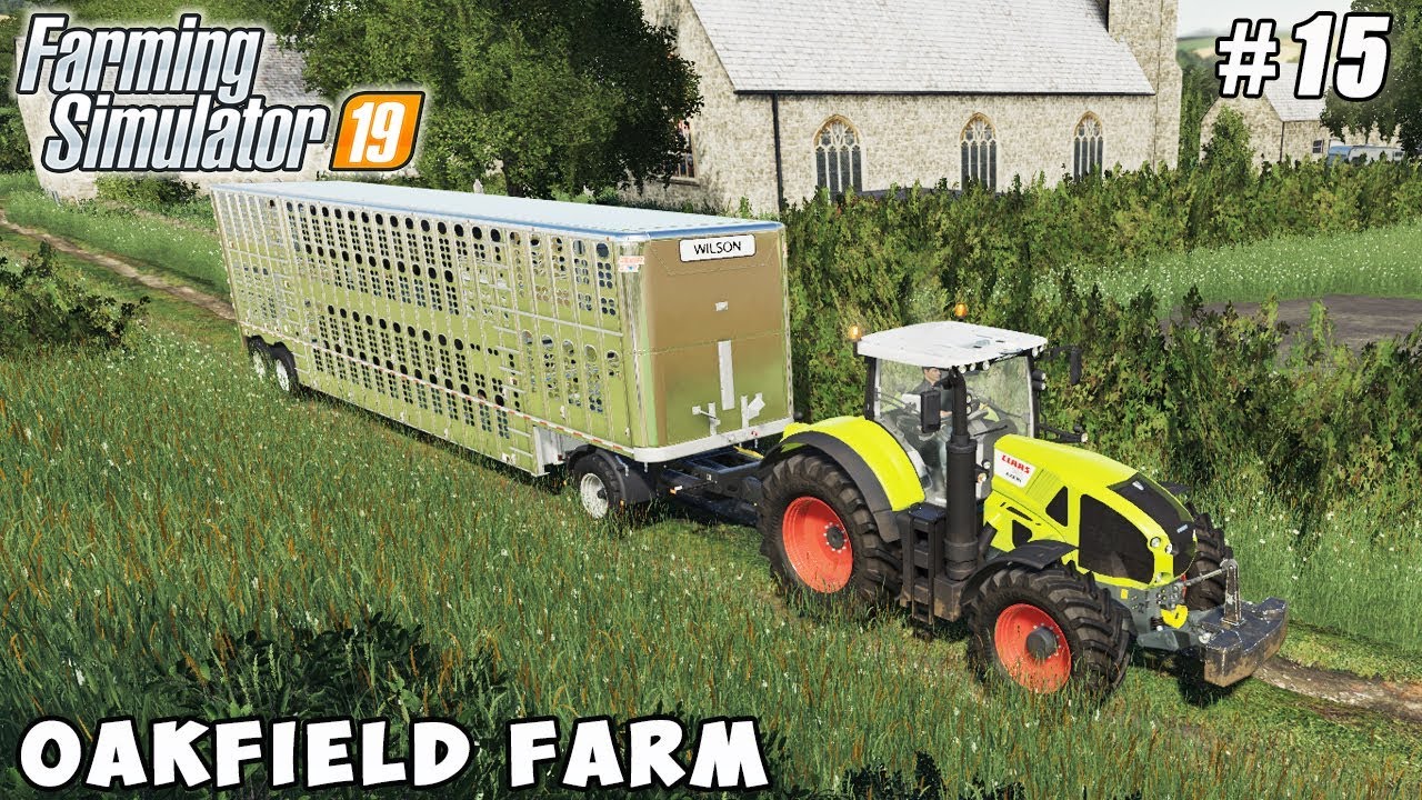Buying and feeding cows, harvesting oats | Farming on Oakfield Farm | FS19 | Timelapse #15