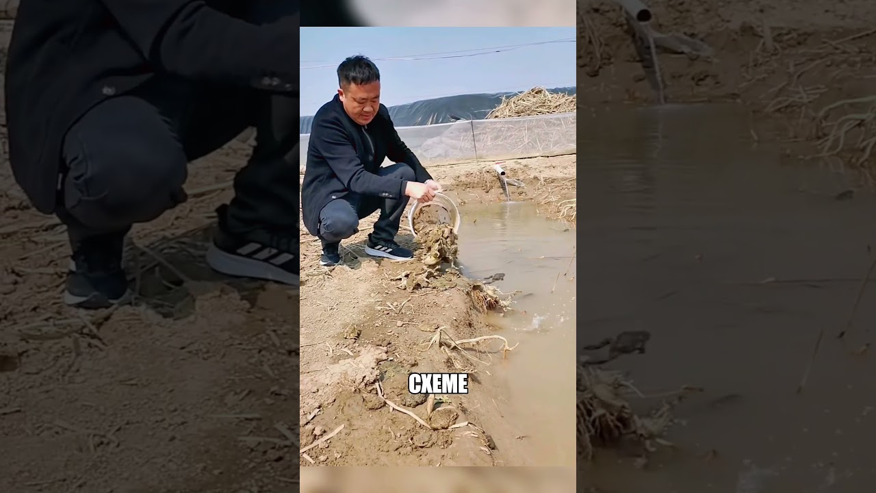 Бизнес за КОПЕЙКИ на палках и соломе🌾📉🤑