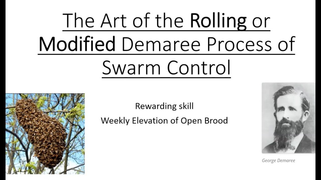 Swarm Control (Demaree) with Keith Jardine: 21 Apr 2022