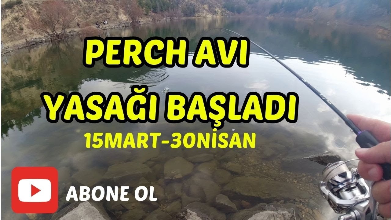 2025 PERCH AVI SEZON FİNALİ!!! - PERCH AVI 15MART- 30 NİSAN ARASI YASAK ARKADAŞLAR!!! -