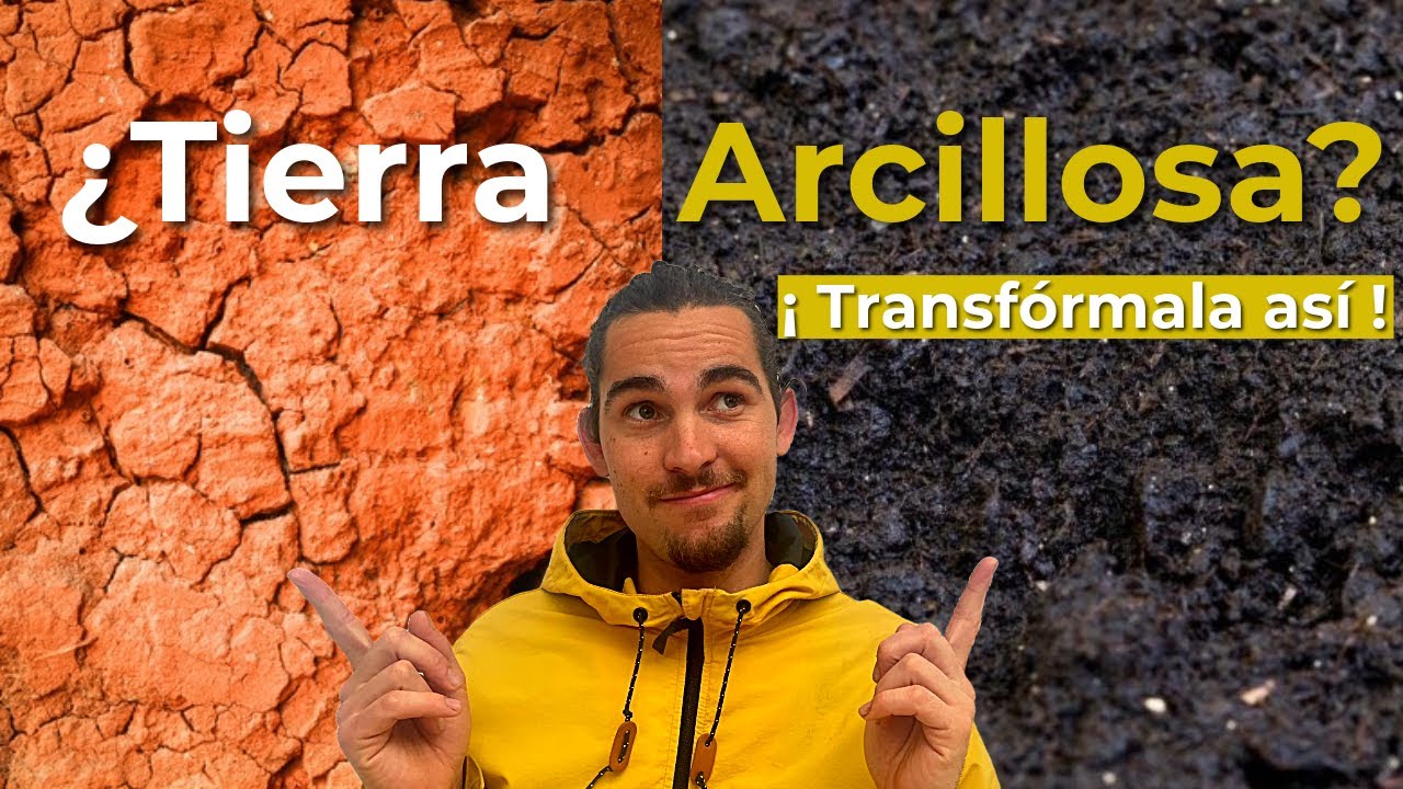 Cómo Mejorar un Suelo Arcilloso para tu Huerto 🌱