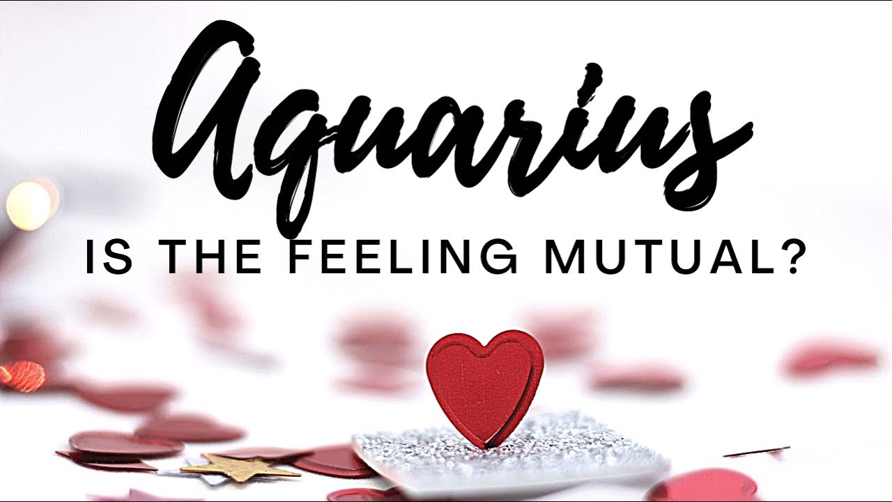 Aquarius💕 Tower moment turned their world upside down! They desire a new beginning with you! ✨