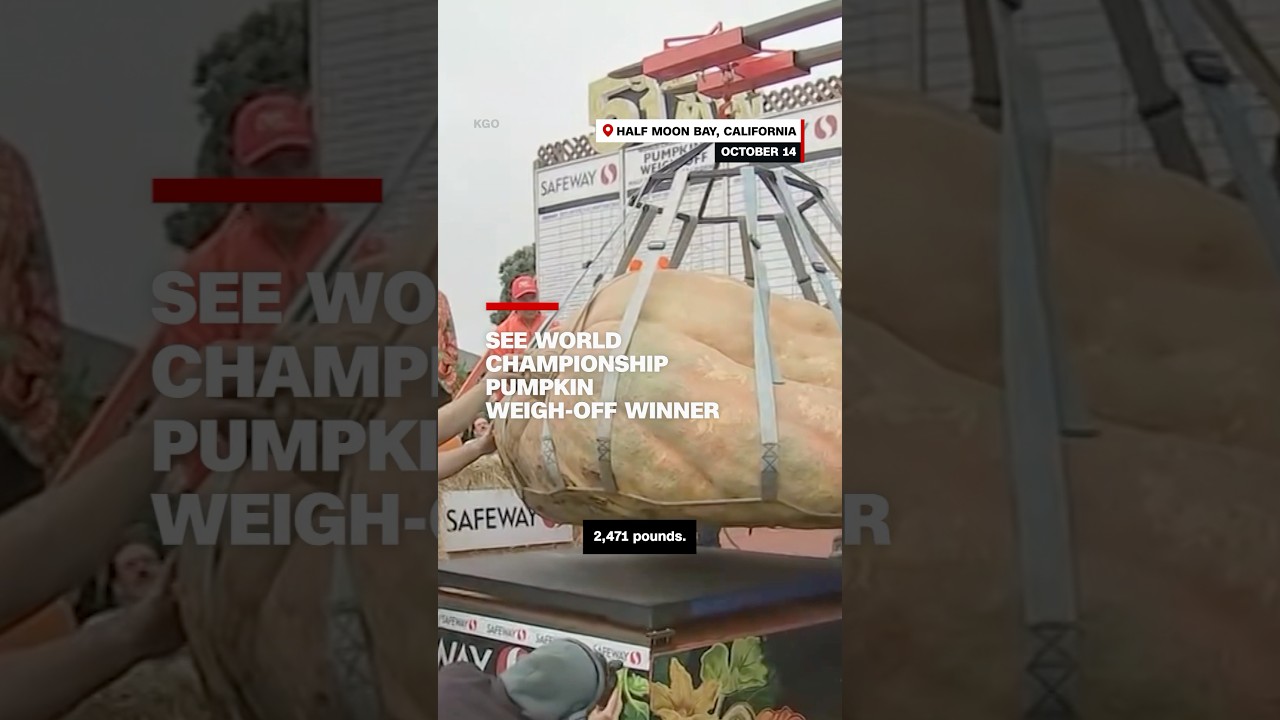See World Championship Pumpkin Weigh-off Winner