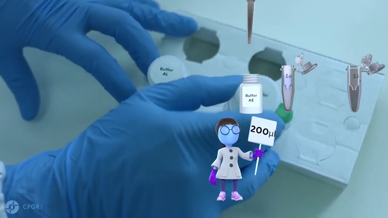 Extracción de ADN por kit comercial