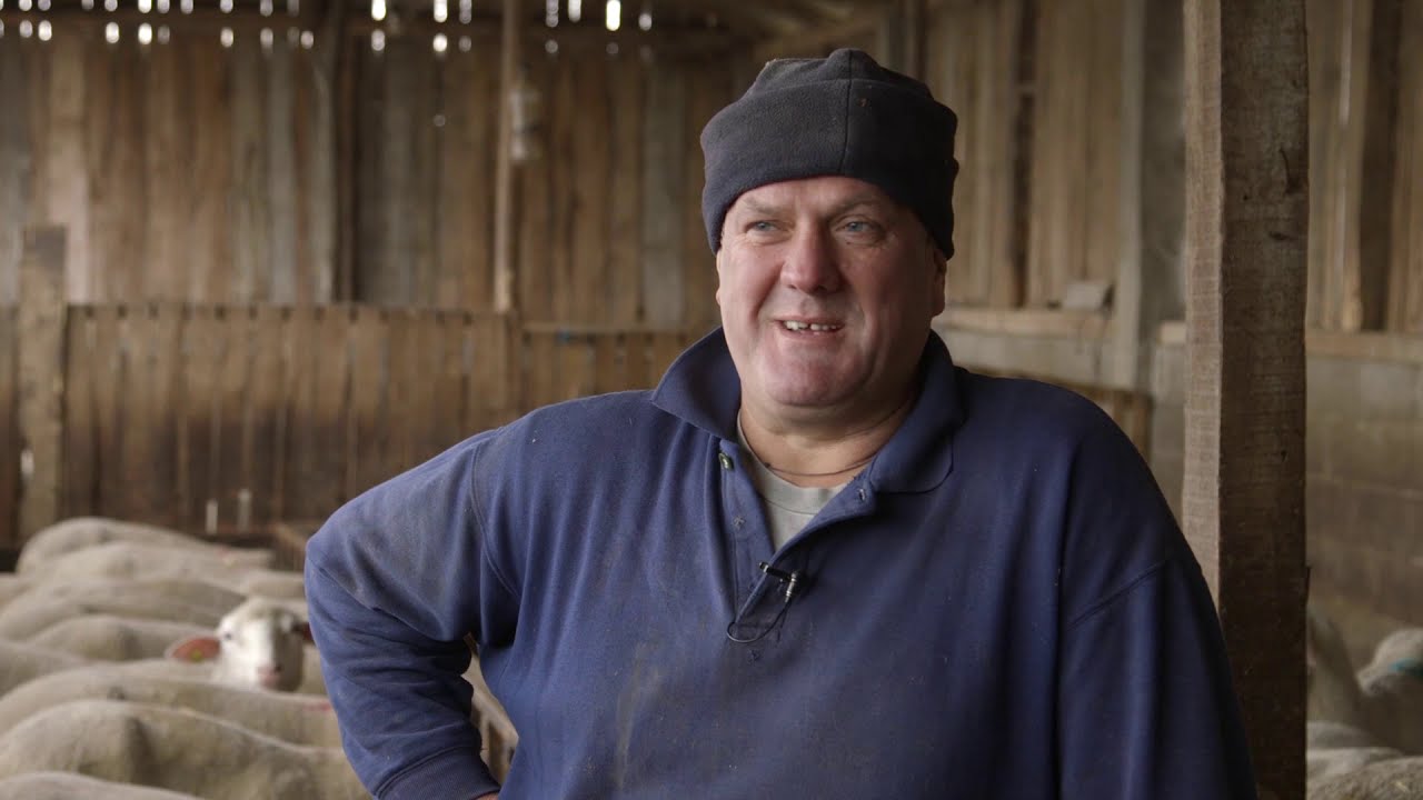 Farma ovaca i odgajivacnica kavkaskog ovcara u Velikoj Plani - U nasem ataru 880