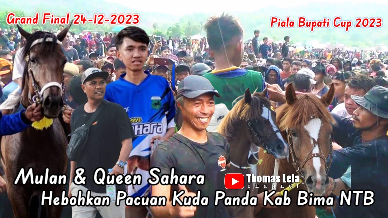 Grand Final Terheboh & Terviral Mulan & Queen Sahara Gemparkan Arena Kuda Pacu Panda Kab Bima NTB