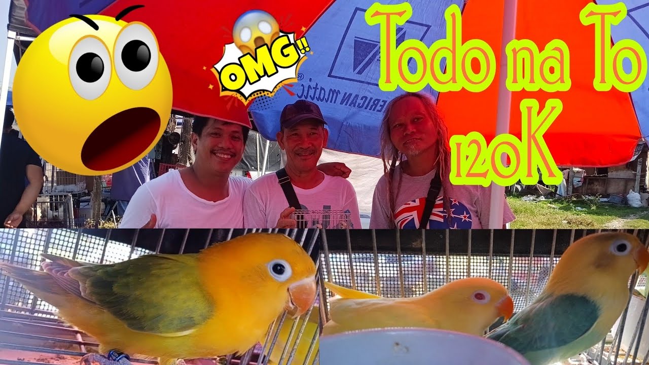 Vlog820 Bocaue Overload Grabe Dito