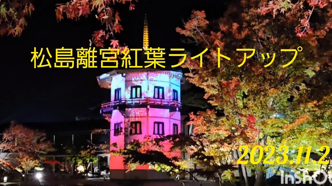 #松島離宮 #イルミネーション　#紅葉 #松島 #日本三景 　2023.11.2