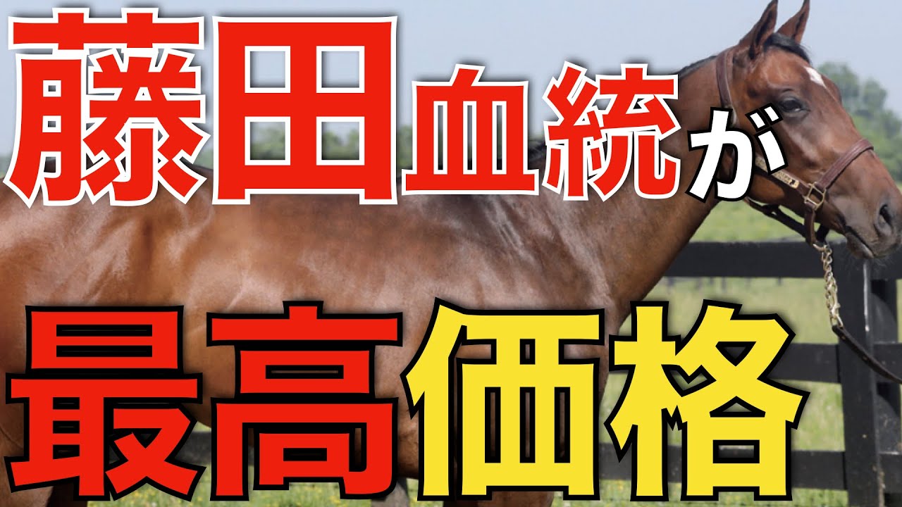藤田晋さん所有馬がセール最高価格！この馬たちには大きな価値がある。