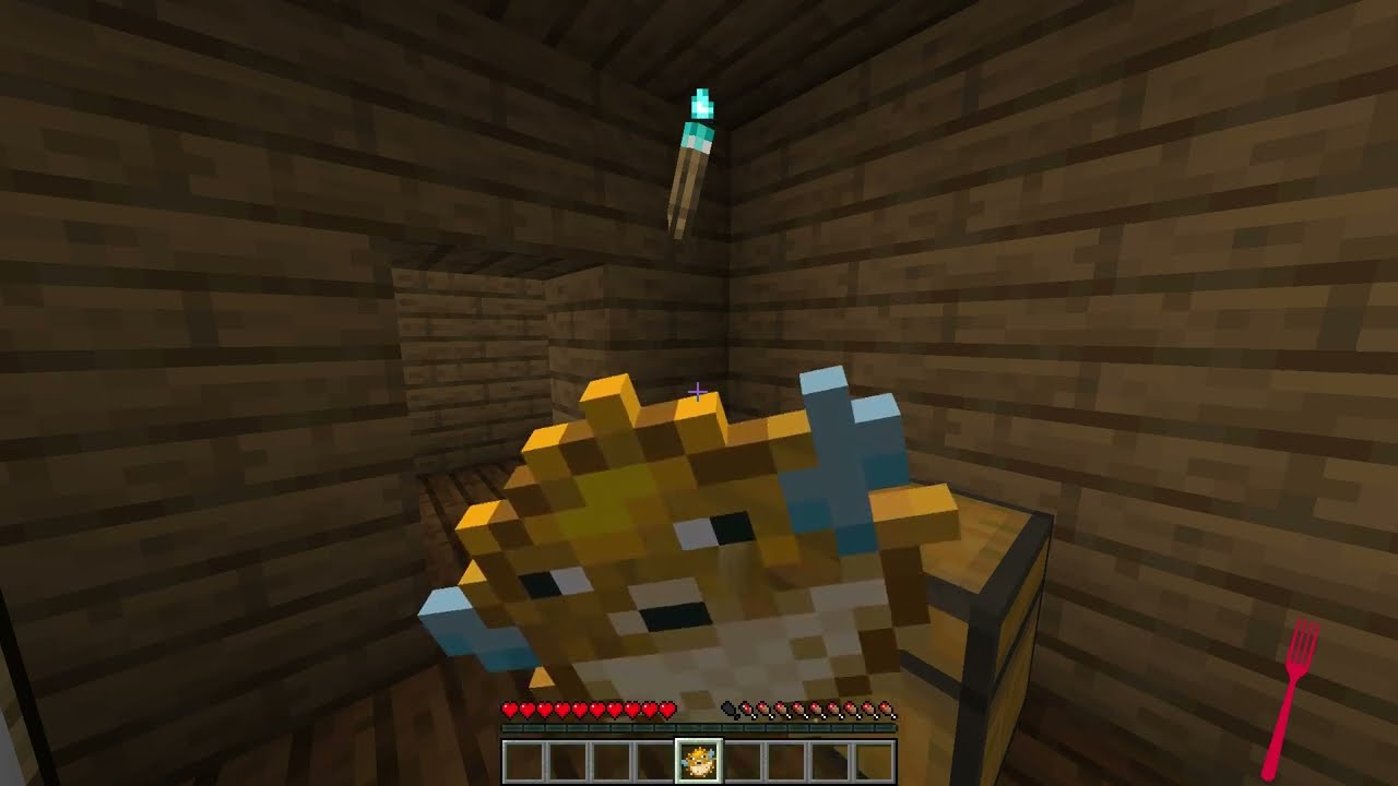 Minecraft 2.2 nausea effect