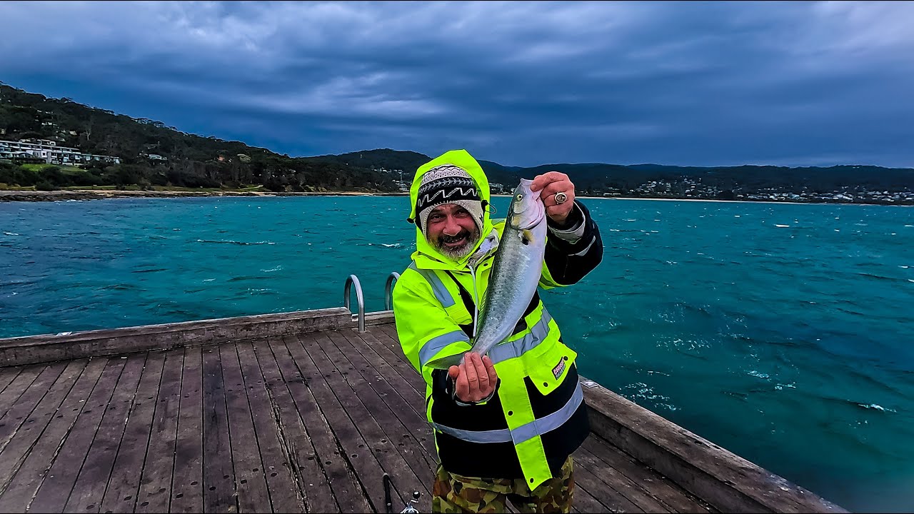 Lorne Pier had rain, storm and lots of Salmons