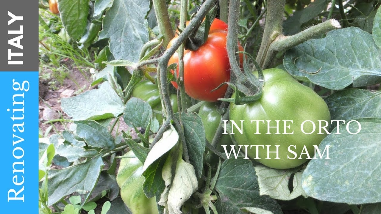 Grow for life ITALY.