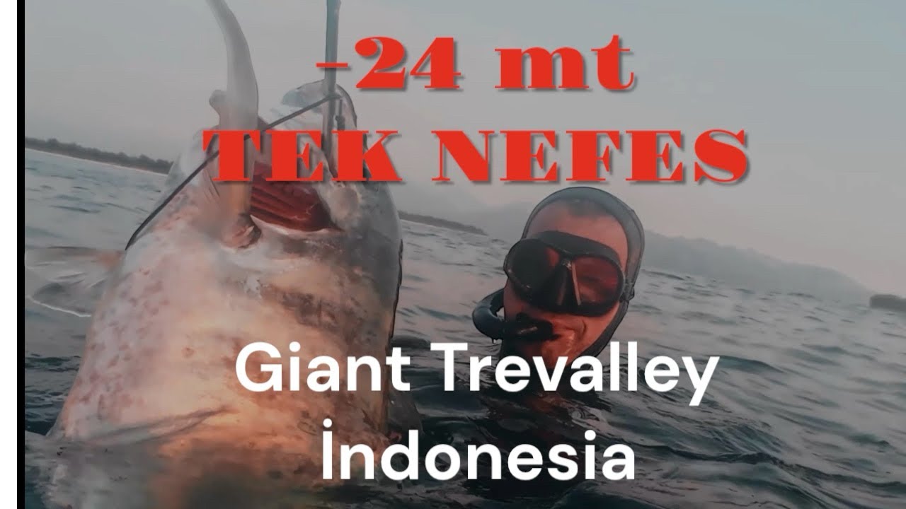 -24mt Tek Nefes Golden Trevalley 