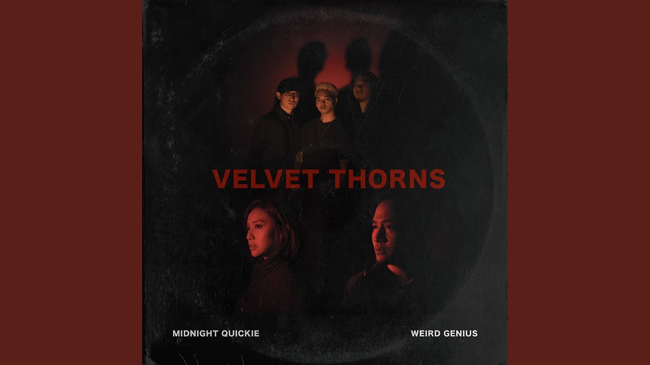 Velvet Thorns