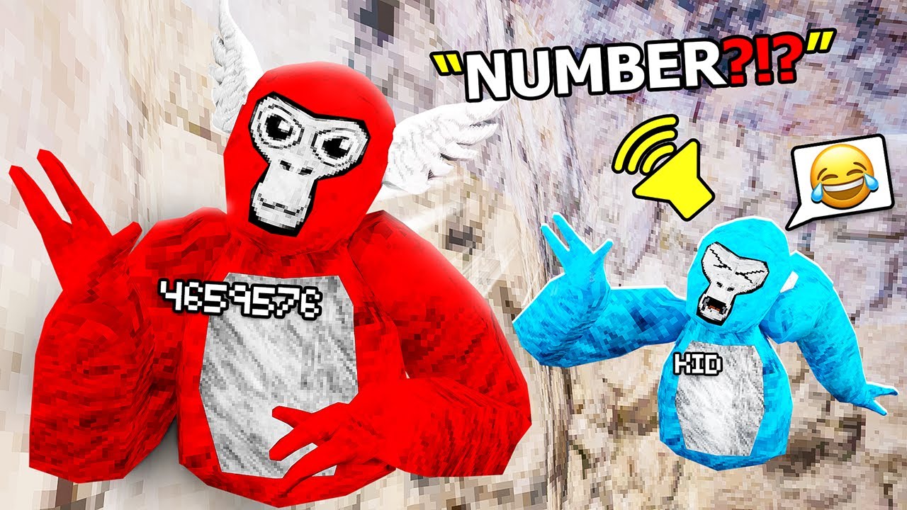 I Put My Phone Number In My Gorilla Tag Name