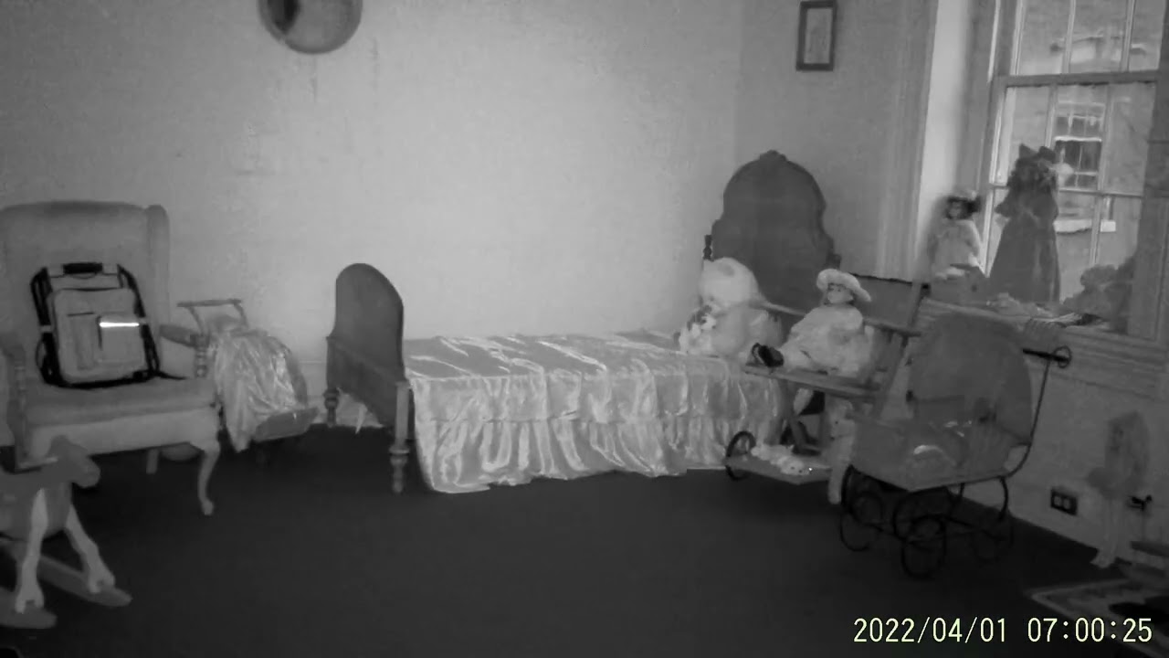 Fairfield 2026 Cat Balls in the Doll Room