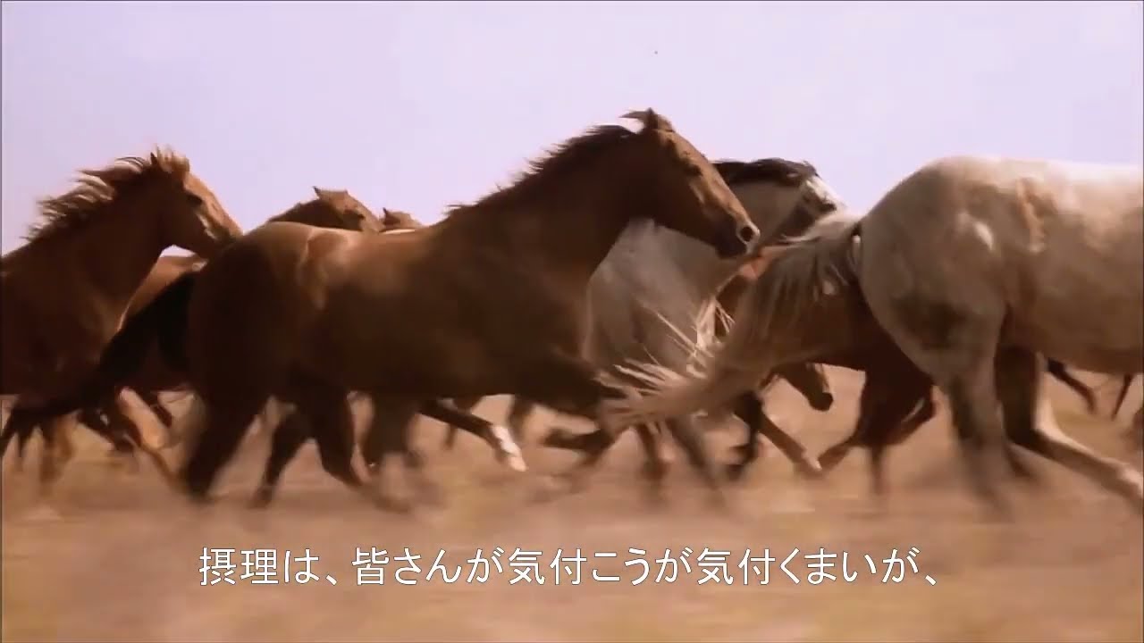 [E6] 三つ目の祝福 (sub ENG: Third Blessing ESP: Tercera bendicion)