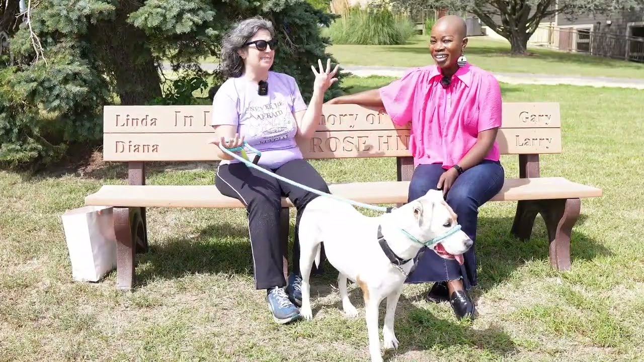 🐾 &ldquo;Lyra the Deaf Rescue Dog & Draco&rsquo;s Journey 🐶❤️ | Dogs Life Diaries&rdquo;