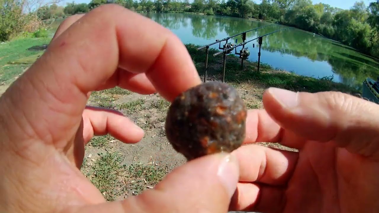 Pellet bojli és készítése (2 mm-es pelletből készített bojli) - Kishajós-behúzós