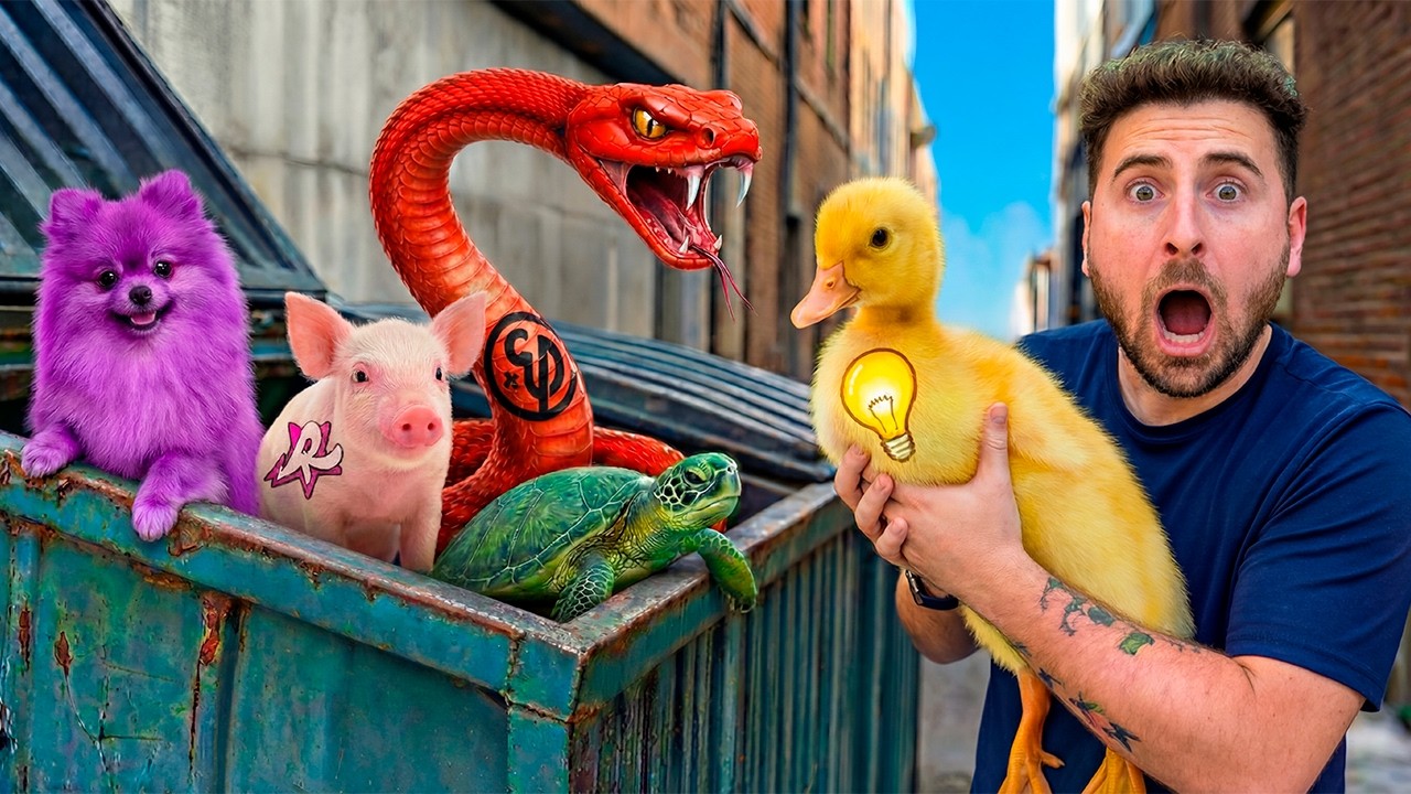 RESGATEI OS ANIMAIS DOS YOUTUBERS ABANDONADOS! *COITADINHOS