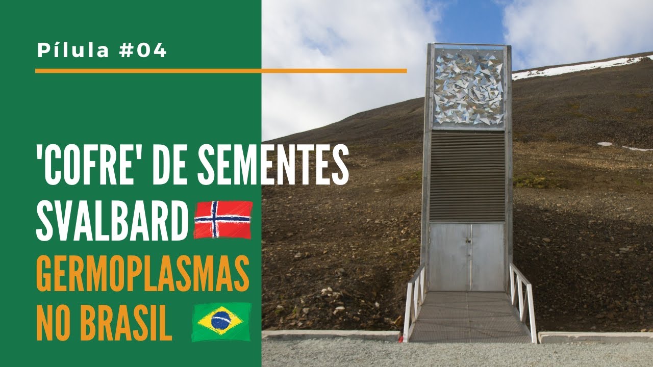 Silo Global de Sementes de Svalbard e Bancos Germoplasmas no Brasil