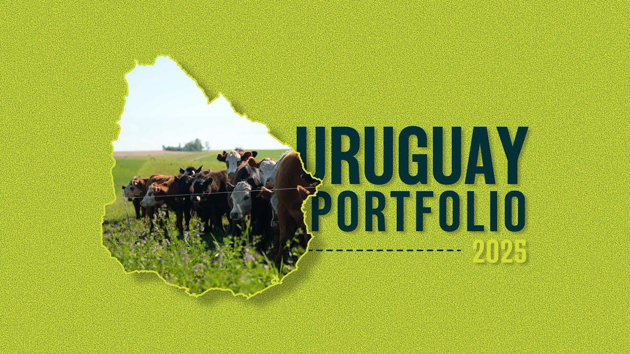 The Land Group - Overview of our 20,000-hectare Precision Grazing portfolio in Uruguay