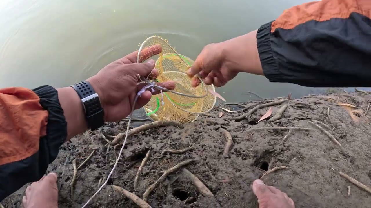 Still Catch small fish. Nice Days
